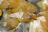 Plate Of Golden, Twinned Calcite Crystals - Morocco #115207-5